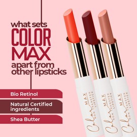 JUICE Color Max-The Max Performing Power Lipstick With Goodness Of Bio Retinol, Transfer-Proof Long Lasting Chestnut Charm - M12 2.3 G Pack Of 1