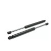 Unbranded Vehicle Front Hood Gas Struts Bonnets Lift Support For