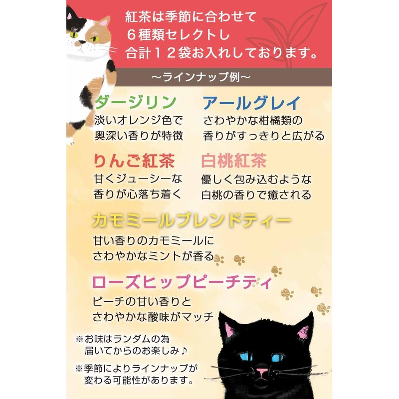 Black Tea Gift, Popular, Present, Cats, Cute, Tea Bags, 6