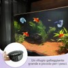 2 pezzi Betta hamac pour poisson betta giocattolo galleggiante, accessori