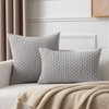 Kevin Textile Set of 2 Decorative Pillows Covers for Couch