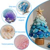 Lanwexy 25PCS Sea Shells Scallop Shells Natural White Sea Shells