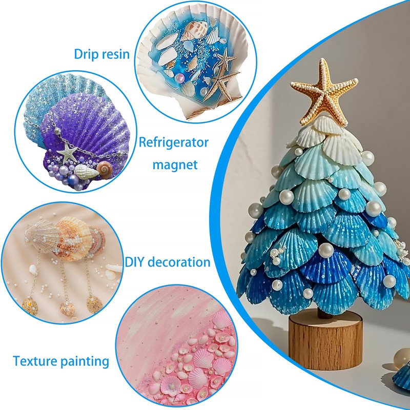 Lanwexy 25PCS Sea Shells Scallop Shells Natural White Sea Shells