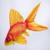GABY Fish Pillows Goldfish Cushion, Multicoloured, M (Pack of 1)