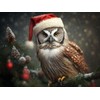CALVENDO Puzzle Christmas Owl | 1000 Pieces Size 25" x