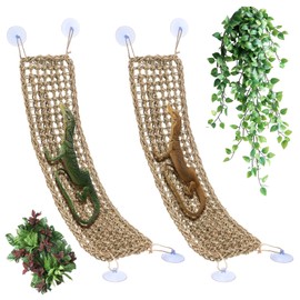 Nodaaiie 2 Pcs Bearded Dragon Hammock Reptile Lounger, Natural Seagrass Climbing Habitat Decor with Jungle Theme for Lizards, Geckos, Snakes, Iguanas, Amphibians and Terrarium