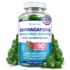 Sugar-Free Ashwagandha Gummies for Stress, Sleep & Mood Support -