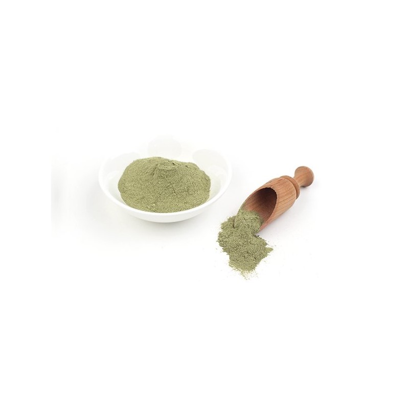 G2G Shop 유기농 케일분말 100g Organic Kale Powder 100g