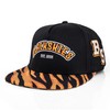 Blackskies® Snapback Cap with Patterns and Various Colours | Men's