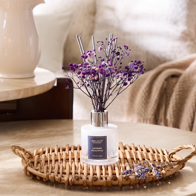 Airkeep Reed Diffuser Set,3.38 fl oz (100 ml) - Lavender