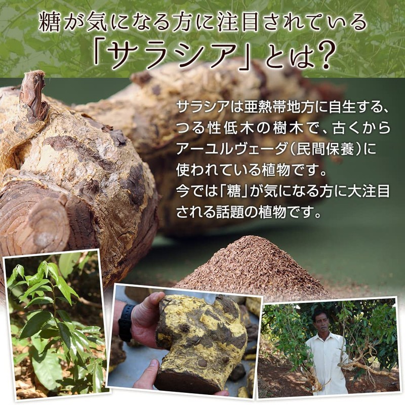 Angelbean Salacia Rooibos Tea 50% Organic Rooibos Tea 50% Decaffeinated