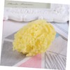 Housoutil 1 Pc esponja de algas esponja de mar para