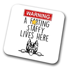 Staffy Warning A Lives Here Mum Dad Coaster Dog Dad Staffordshire Bull Terrier Dad Friend Funny Gift for Birthday Christmas, Staffy Mum Coaster