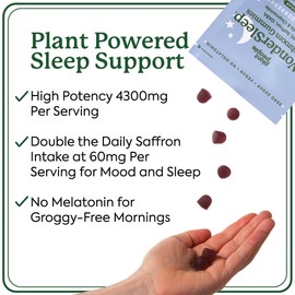 Plant People Plant People WonderSleep Mushroom Gummies Supplement for Sleep and Relaxation with Reishi Super Mushrooms, Wild Elderberry Flavor, No Sugar (60 Count)