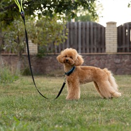 Ferplast Ergofluo Dog Collar, 25 cm x 33 cm, Green