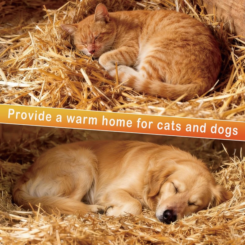 Natural Wheat Straw - Dry Clean Soft Bale for Stray