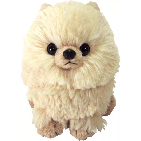 Sun Lemon Stuffed toy Pomeranian beige 13.1 x 7.9 x