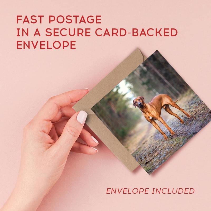 1 x Greeting Card Rhodesian Ridgeback Dog - Blank Birthday