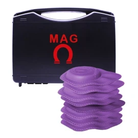 Imanes Mx Kit 8 Pz Biomagnetismo 3800 Gauss / Dr Goiz Gratis Estuche