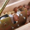 Nutcracker, high-performance nutcracker, pecan nutcracker, walnut tongs opener with handle