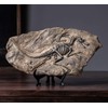 XINDAM Resin Dinosaur Fossil Statue Model Simulated Skeleton Home Office