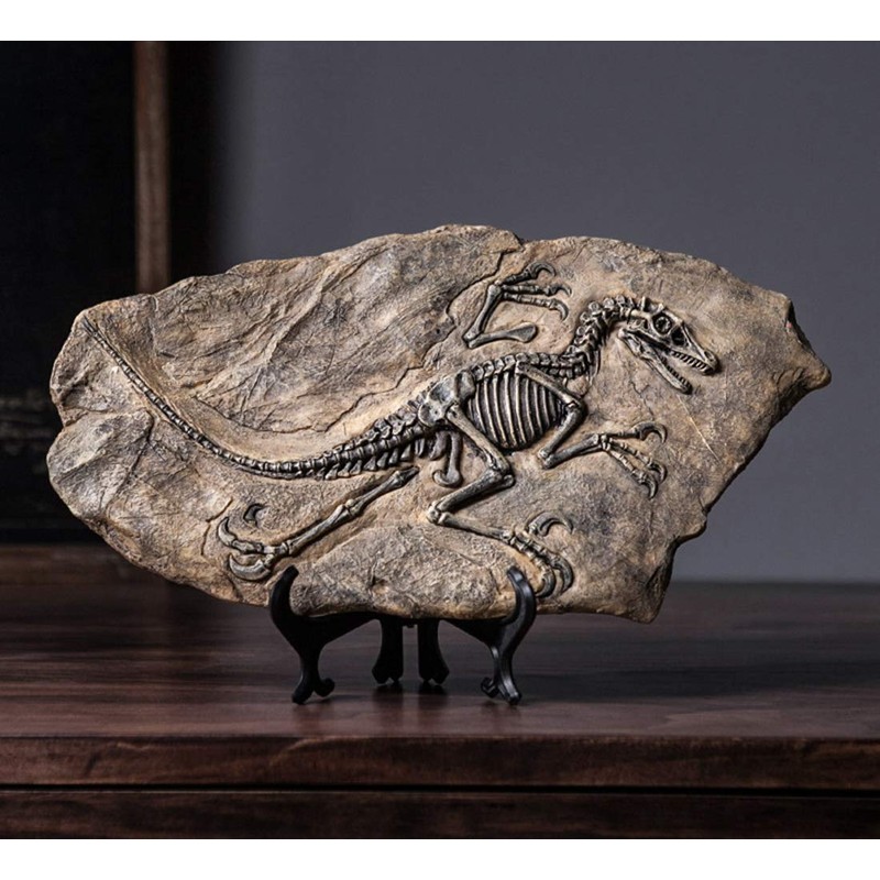 XINDAM Resin Dinosaur Fossil Statue Model Simulated Skeleton Home Office