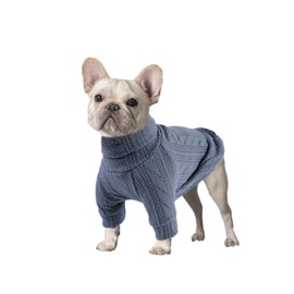 PATTEPOINT Dog Sweater, Fashion Warm Cat Jumper, Winter Knitted Pullover Soft Turtleneck Clothes Vest, Soft Pet Supplies for Small, Medium, Large Dogs (Blue)