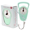 Pistachio Green Travel Scales