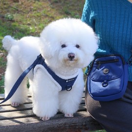 COOWONE Waterproof Dog Walking Bag Crossbody Bags Dog Treat Pouch for Pet Training, Puppy Treat Tote, Treat Bag, Dog Mom Purse…