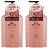 Rubcent Body Scrub Wash Flower Market White Tulip Fragrance, 500ml, 2 pcs / 럽센트 바디 스크럽 워시 플라워마켓 화이트튤립향, 500ml, 2개