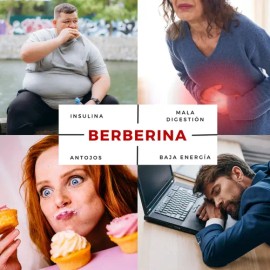 Berberine Pro Alta Pureza- 90 Capsulassin Azúcarsin Sabor Sin Sabor                                                                                   