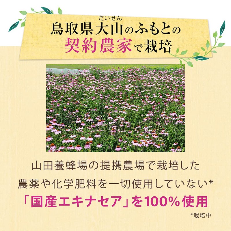 山田養蜂場 エキナセア粒＜90粒袋入＞