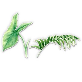Tropical Leaves - 2" Each Vinyl Stickers - for Car Laptop I-Pad Phone Helmet Hard Hat - Waterproof Decals