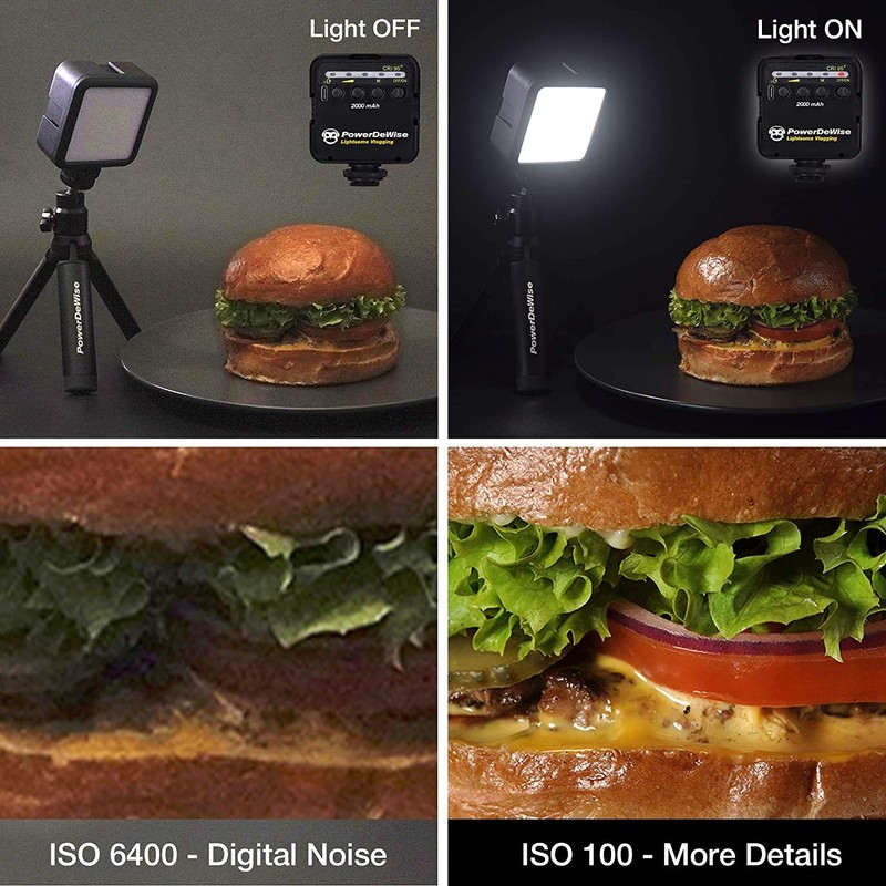 PowerDeWise Video Light