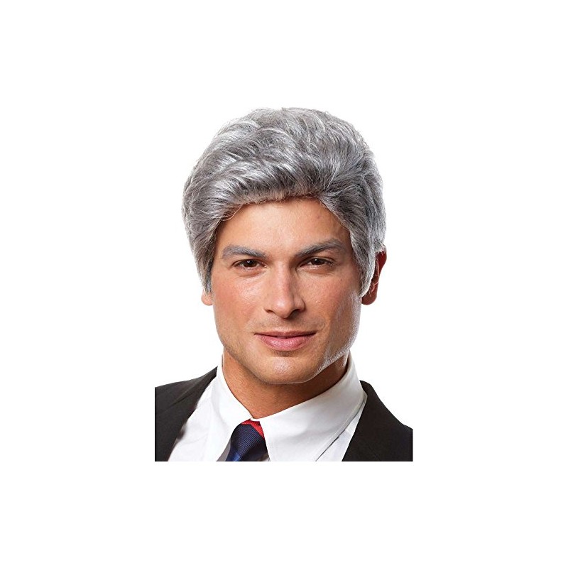 Mr. President Grey Wig Costume Accessory