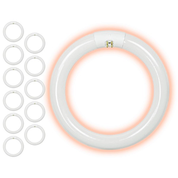 GoodBulb 22-Watt 8 Inch T9 Fluorescent Circline Light Bulb |