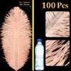 XunYee 100 Pcs Large Natural Ostrich Feathers Plumes Bulk for