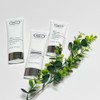 NGF37 Medipost Cellino NGF37 Cell Repair Cream 75ml / 메디포스트