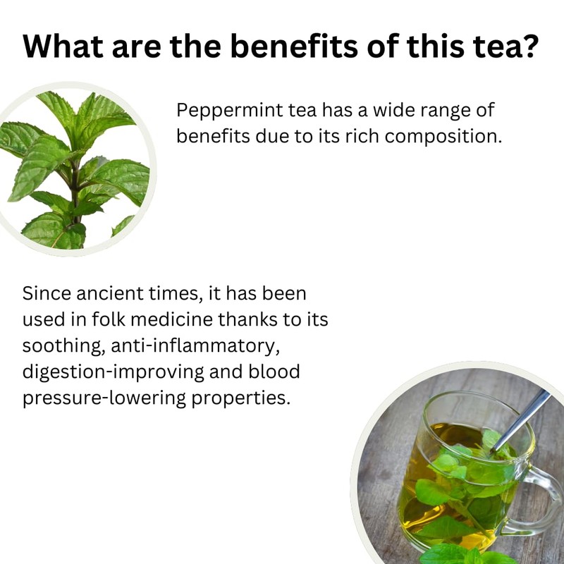 Premium GT Herbs & Fruits Herbal Tea 20 Tea Bags