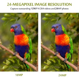 Blazevideo Trail Camera, A262, 1296P Motion Sensor, Security Camera, Wildlife Surveillance Camera, Night Vision Camera, 120° Shooting Range, 48 Megapixels, Supports up to 512 GB Cards, Night Support,