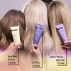 John Frieda Salon Blonde Tone Perfecting Treatments Platinum 120ml