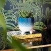 Sass & Belle Mojave Glaze Blue Large Planter on Legs