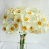 12PCS Artificial Daffodil Tulips Flowers Yellow Spring DIY Silk Flower