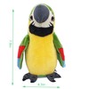 XiuLiFeiFei hengleTalking Parrot,Repeating Parrots, Repeating Talking Parrots, Talking Parrots, Electric