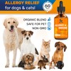 Dog Allergy Relief for Puppies & Adult Ones – Cat