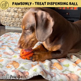 PawsOnlyUK Interactive Dog Toys for Boredom Dog Puzzle Toys Puppy Teething Toys for Small Large Dogs Dog Chew Toys (Small, ORANGE)