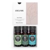 Edens Garden Aceites Esenciales Dolores Molestias Juego Mezclas Aromaterapia 100
