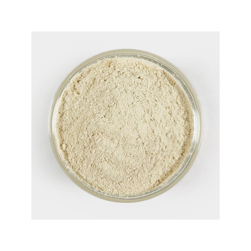 Oherb 국산 더덕가루 더덕분말 250g Korean Wild Yam Powder 250g