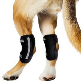 Dog Knee Brace for Torn ACL Hind Leg and Luxating Patella, Canine Rear Hock Joint Support, Joint Injury and Sprain Protection, Removable Design, Comes with 4 Spring Bars and 4 Steel Bars (M Pair)