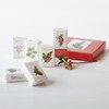 Monticello Botanical Winter Soap Set